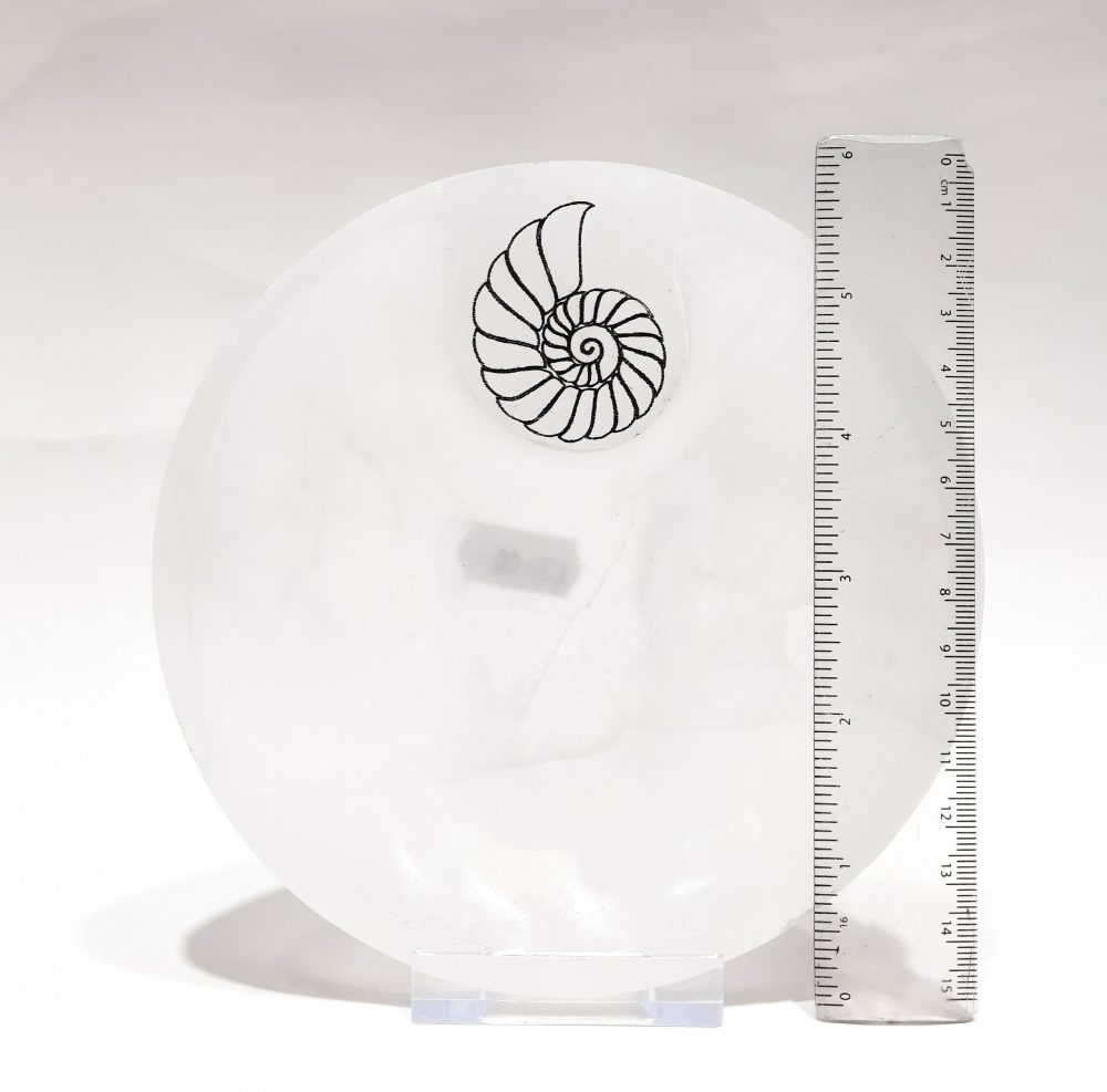 Selenite Circular Ammonite charging bowl